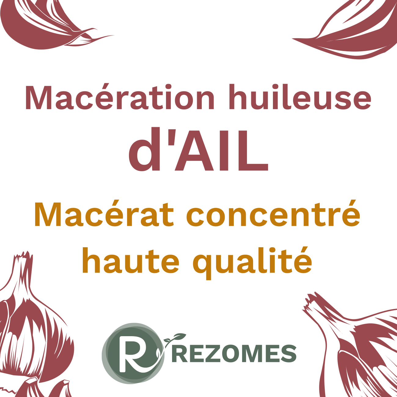 Macération huileuse d'ail