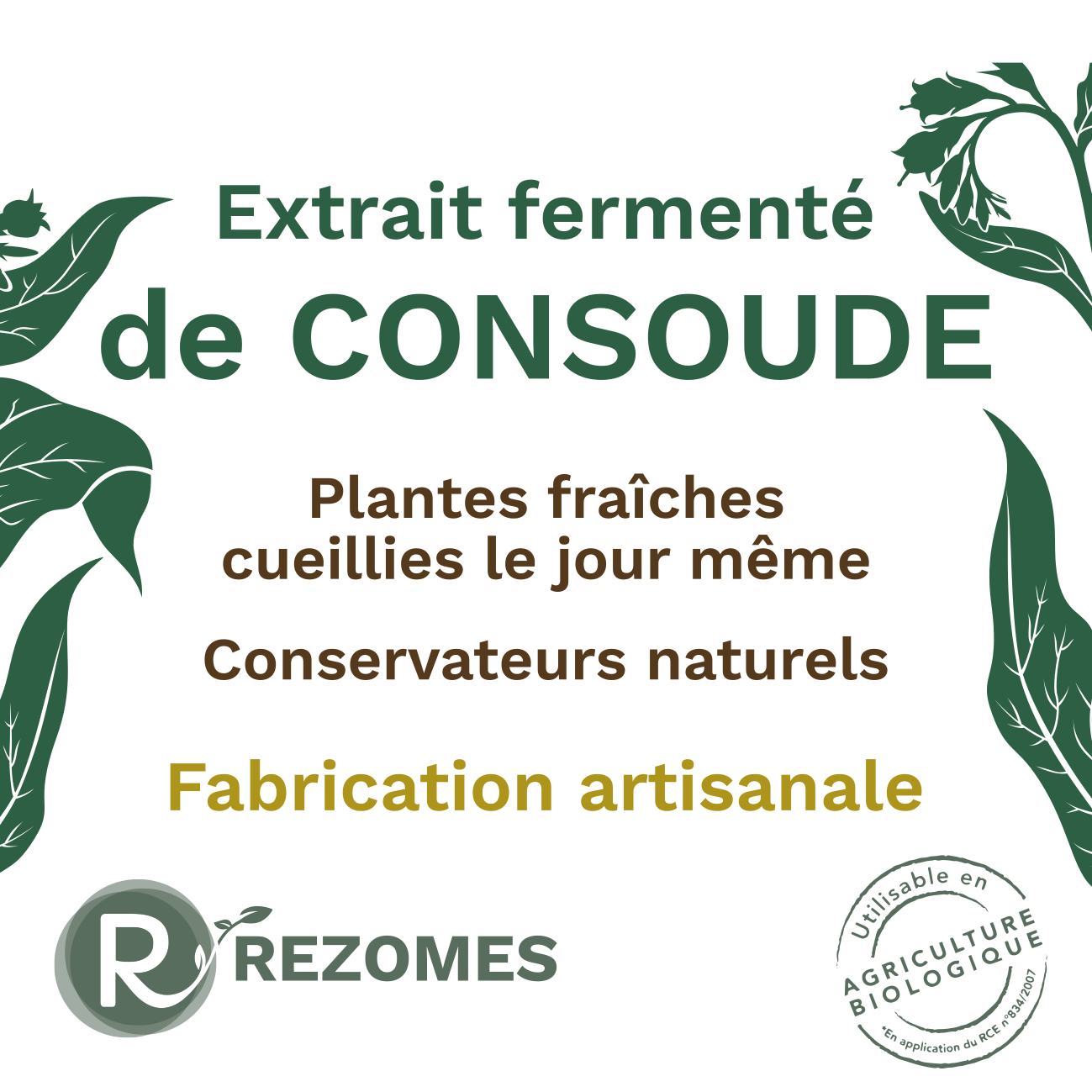 Extrait fermenté de consoude