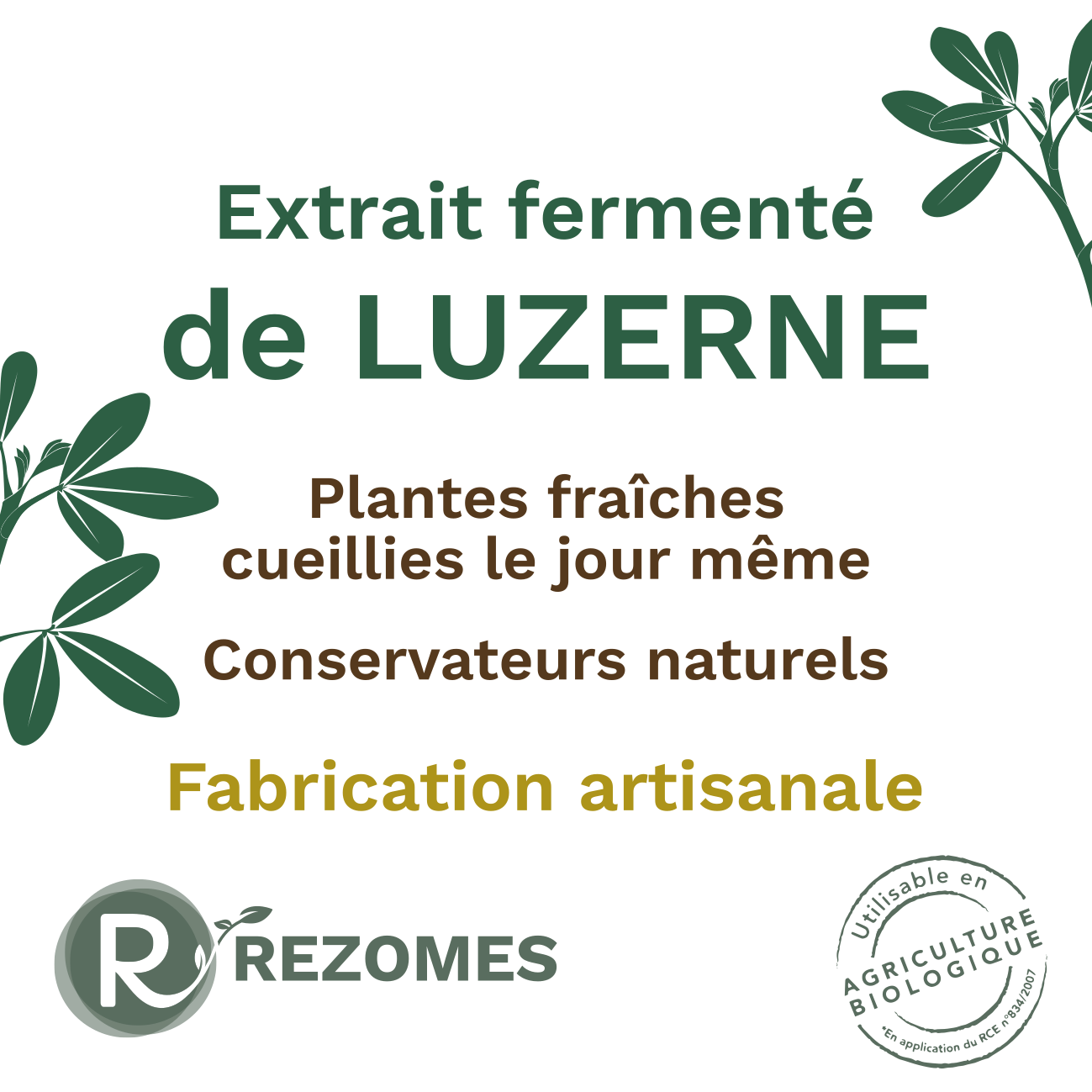 Extrait fermenté de luzerne