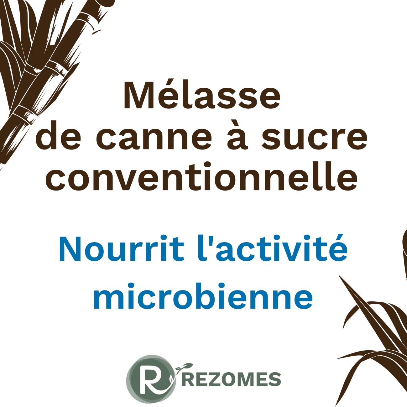 Mélasse de canne à sucre conventionnelle