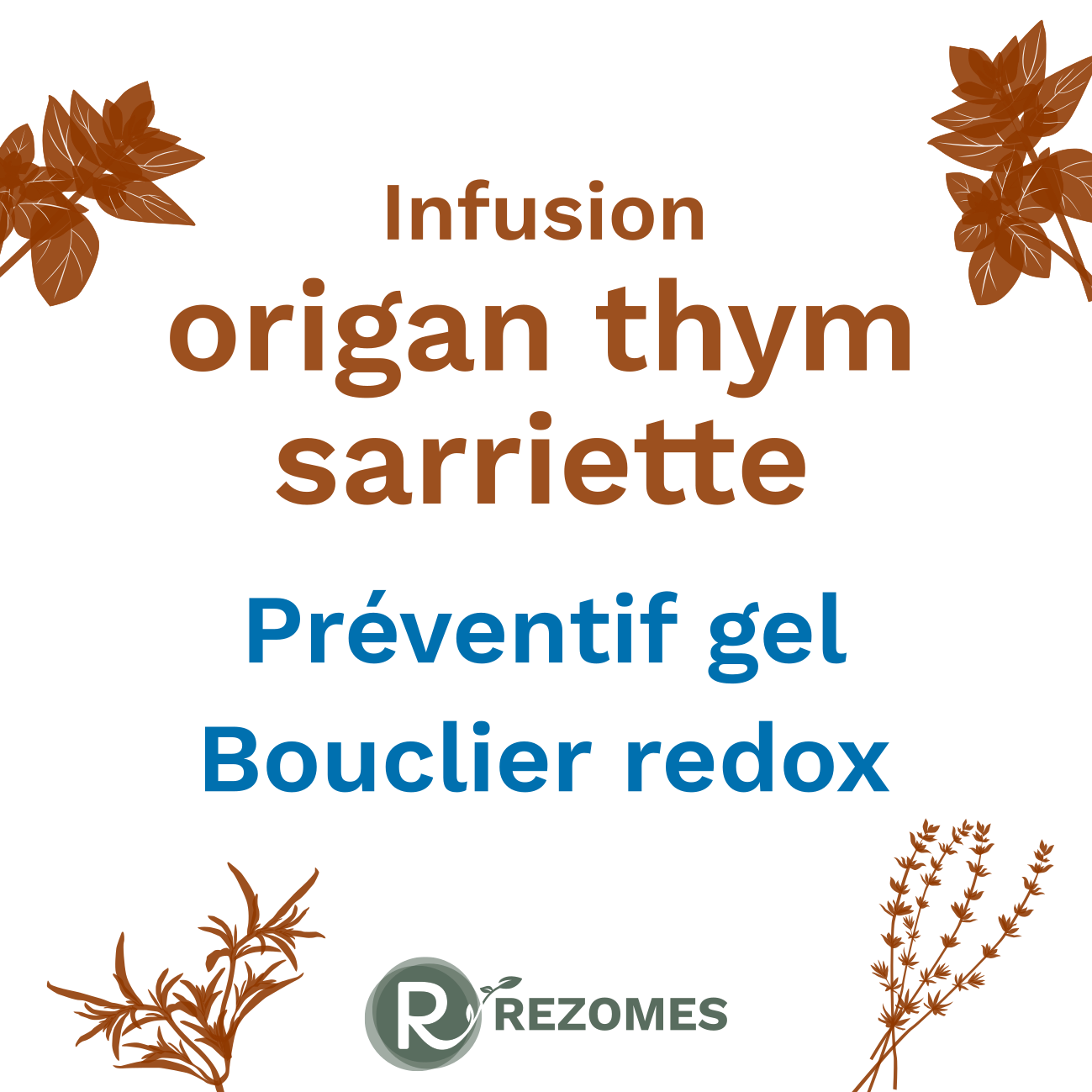 Infusion Origan-Thym-Sarriette (OTS)