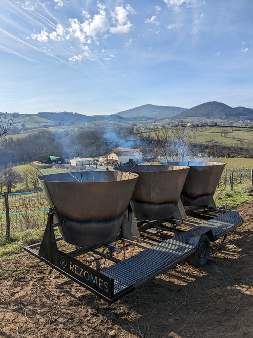 Production de biochar sur l'exploitation (ceps, branchages)