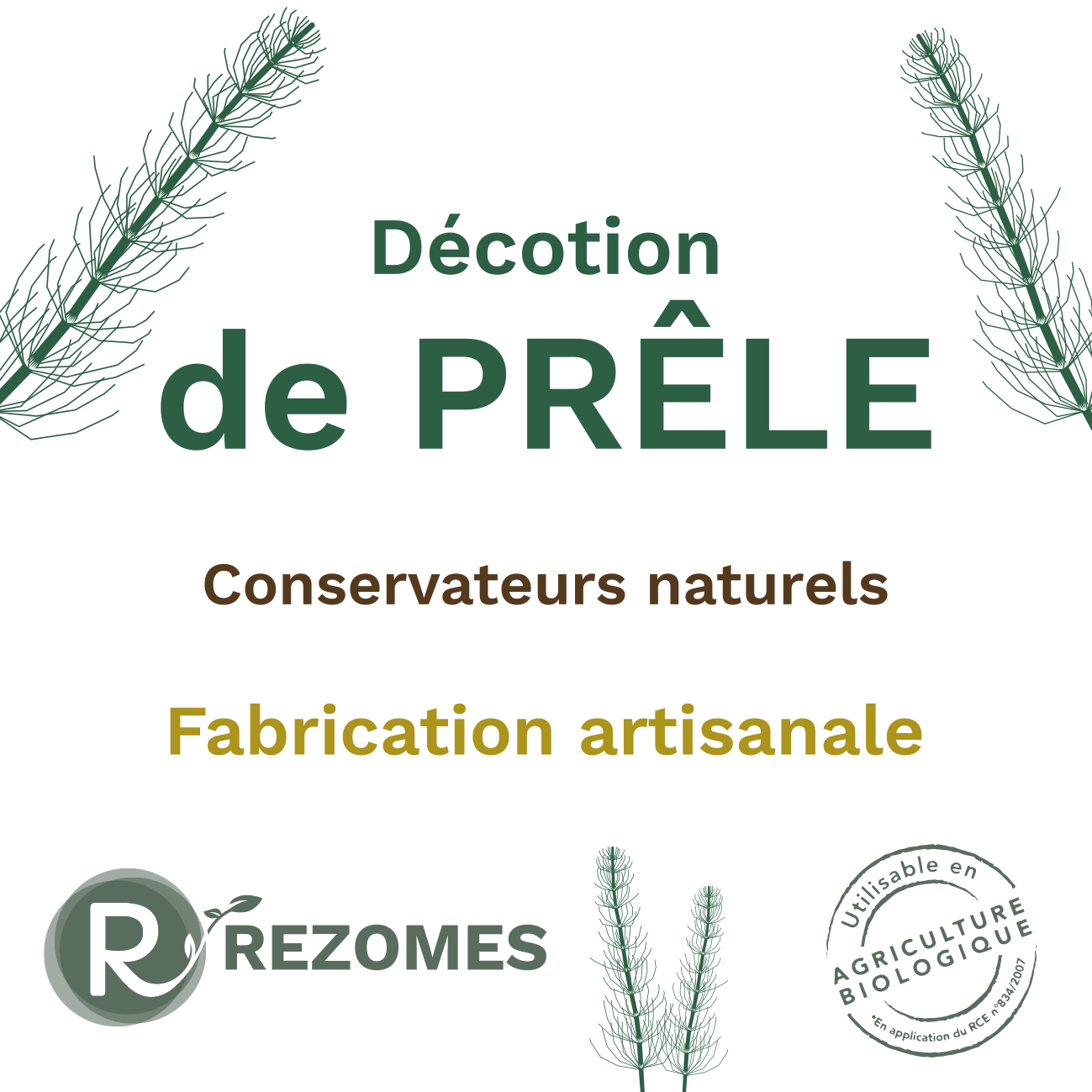Décoction de prêle