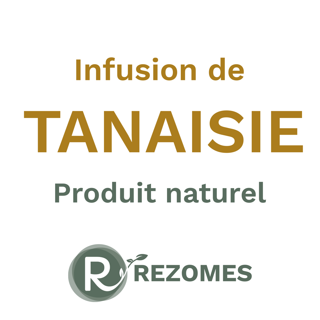 Infusion de tanaisie