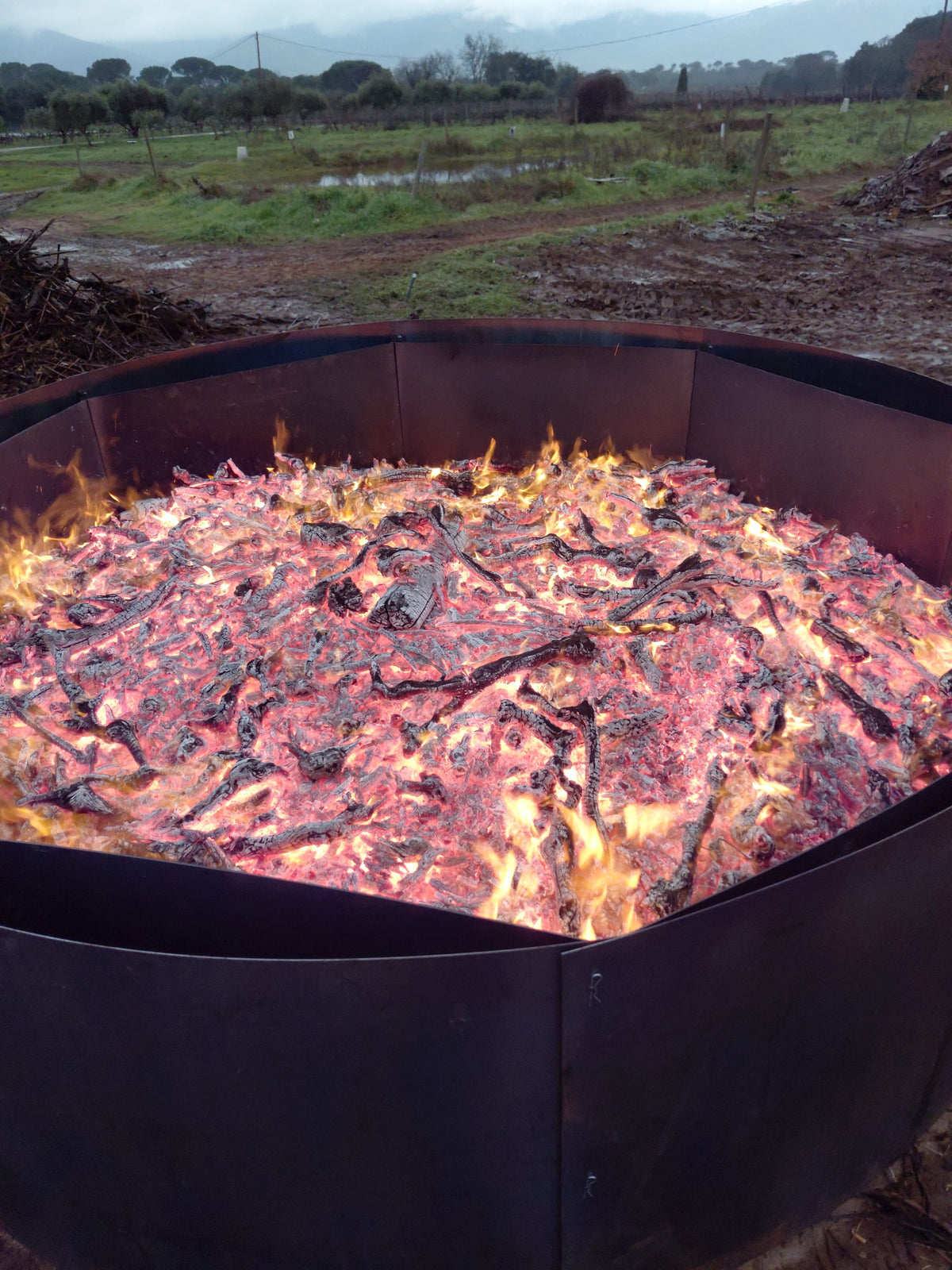 Pyrolyseur Octopus pour production de 8 m² de biochar par jour