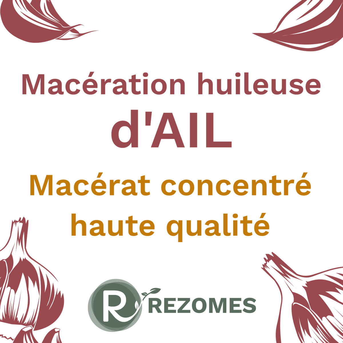 Macération huileuse d'ail