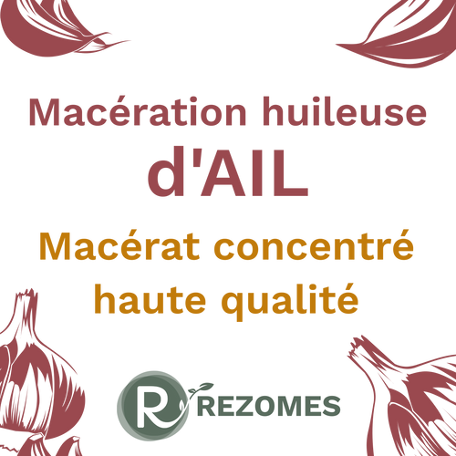 Macération huileuse d'ail