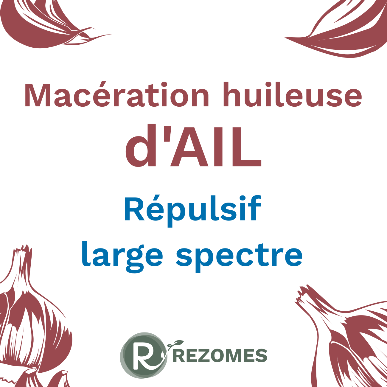 Macération huileuse d'ail