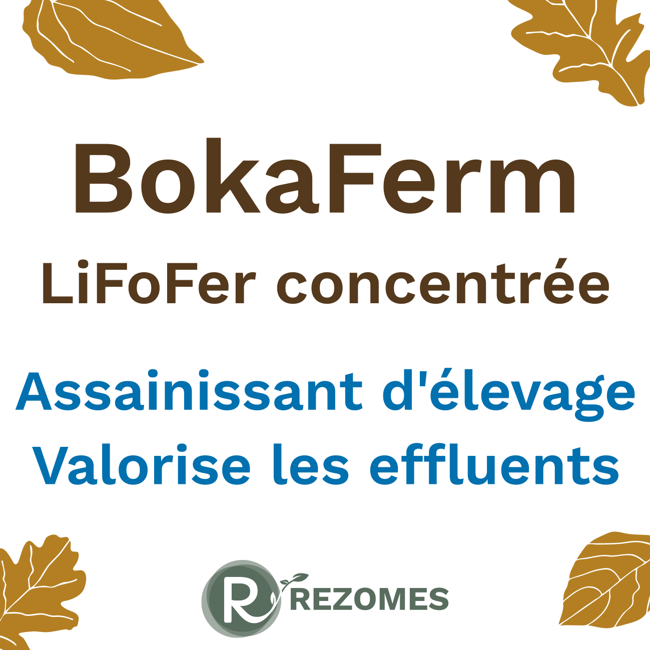 BokaFerm - LiFoFer concentrée