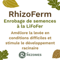 RhizoFerm - Enrobage de semences à la LiFoFer