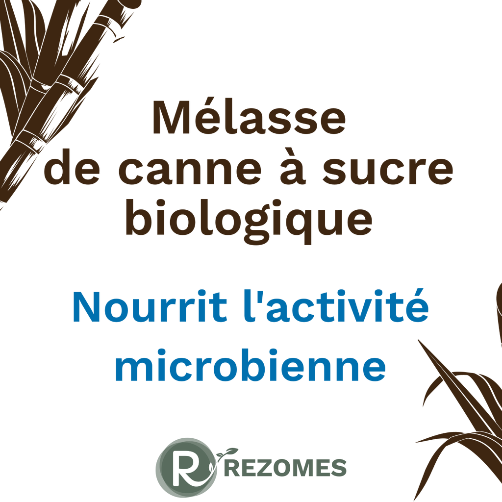 Mélasse de canne à sucre utilisable en agriculture biologique