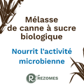 Mélasse de canne à sucre utilisable en agriculture biologique