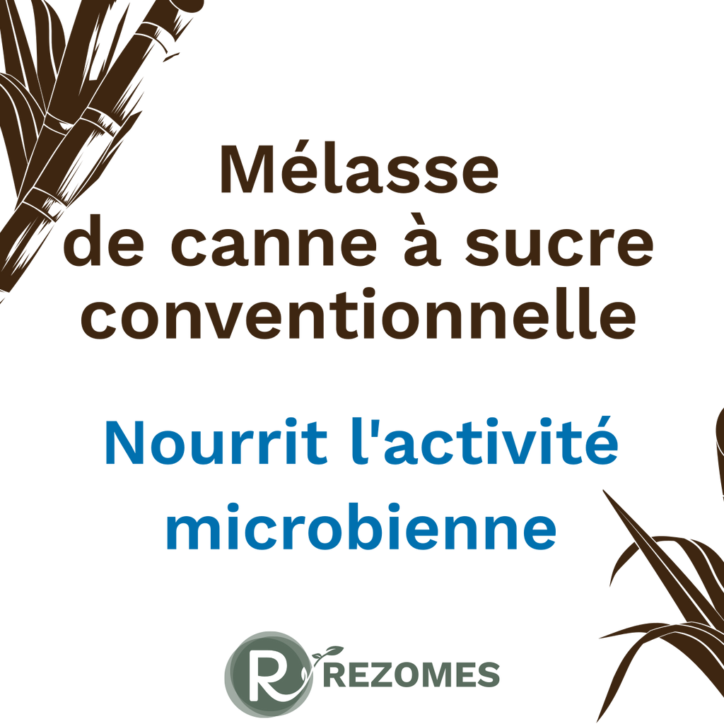 Mélasse de canne à sucre conventionnelle