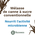 Mélasse de canne à sucre conventionnelle