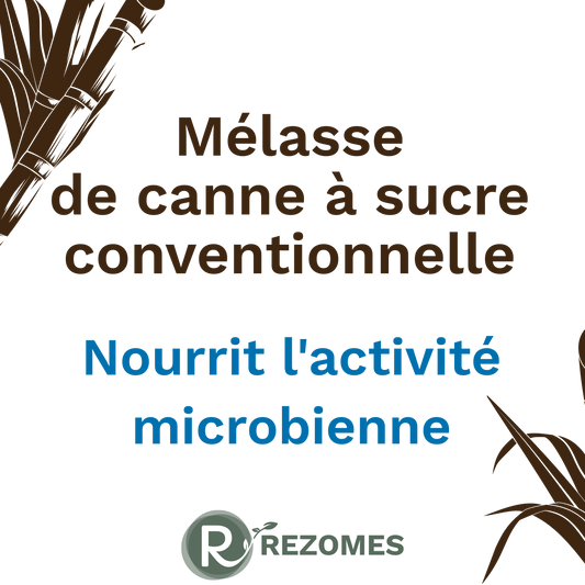 Mélasse de canne à sucre conventionnelle