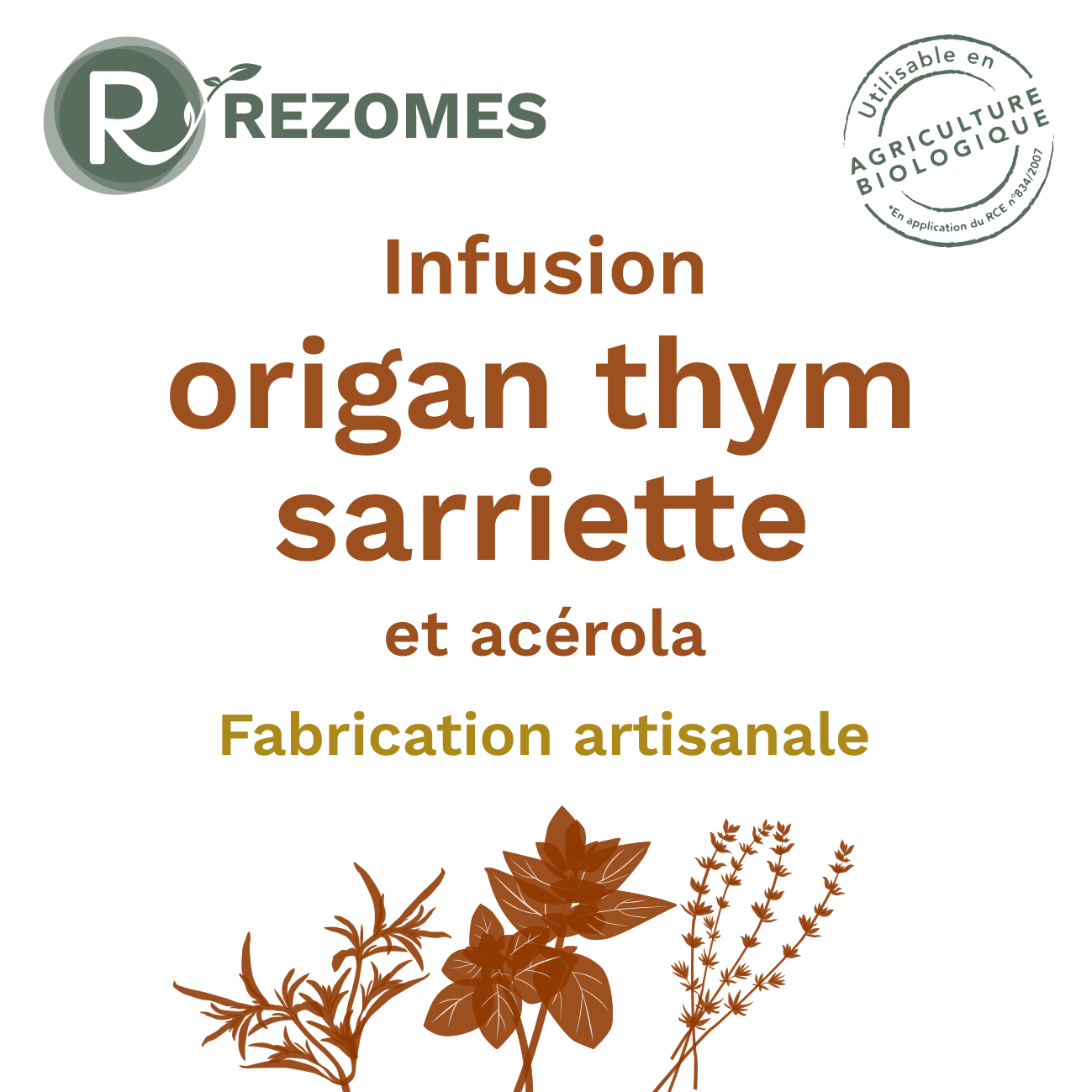Infusion Origan-Thym-Sarriette (OTS)