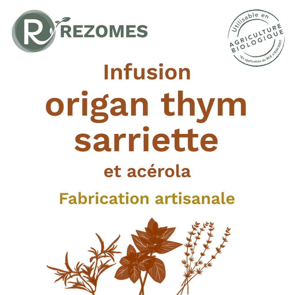 Infusion Origan-Thym-Sarriette (OTS)