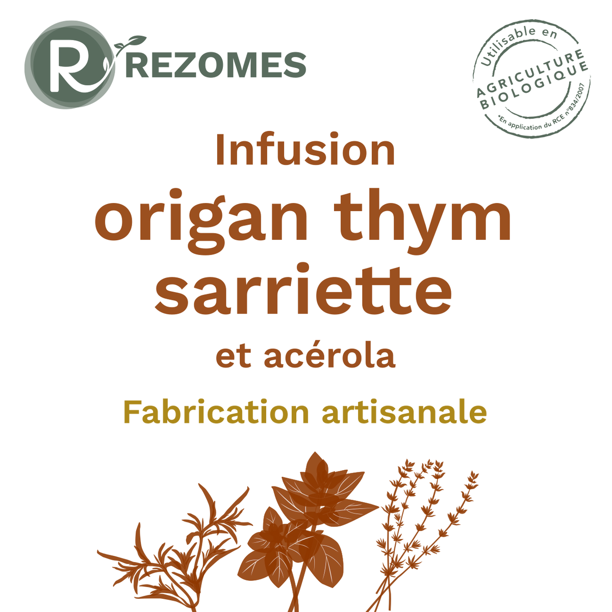 Infusion Origan-Thym-Sarriette (OTS)