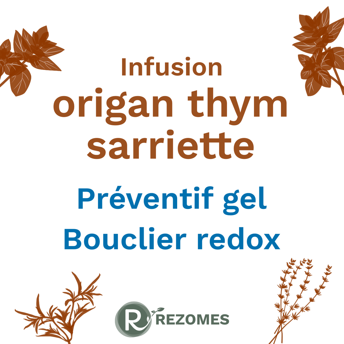 Infusion Origan-Thym-Sarriette (OTS)