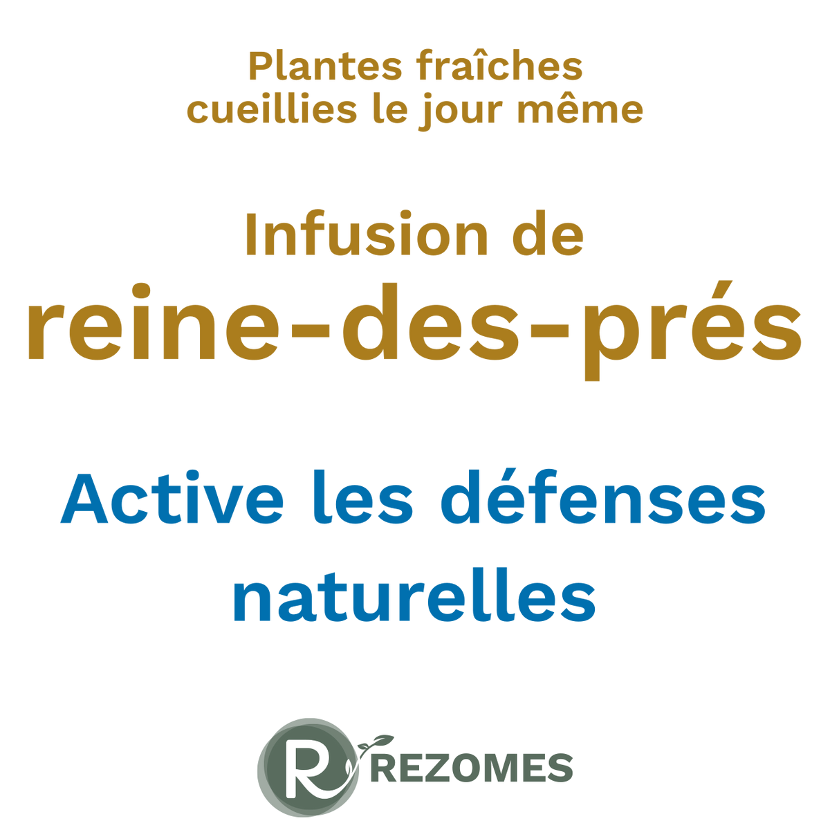 Infusion de reine-des-prés