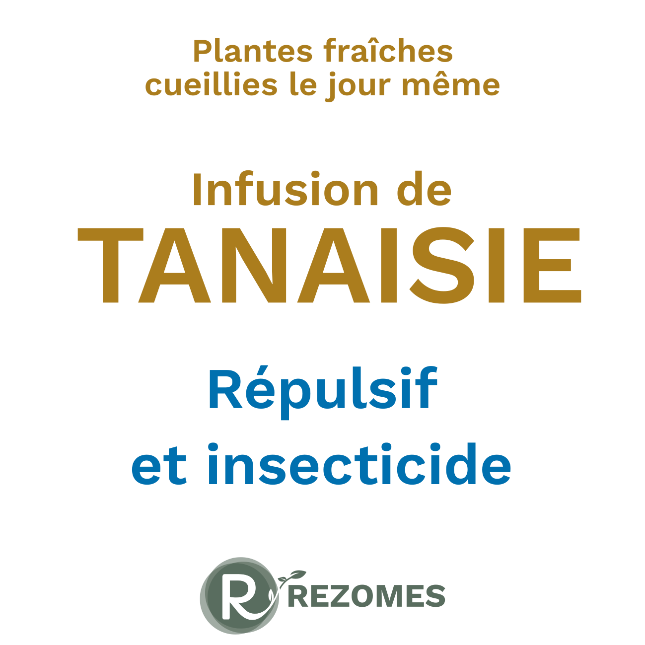 Infusion de tanaisie