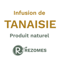 Infusion de tanaisie