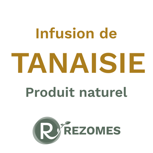 Infusion de tanaisie