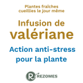 Infusion de valériane